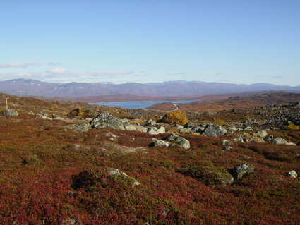 kiruna